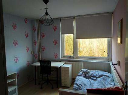 Kamer te huur 750 euro Lariksdreef, Vlaardingen