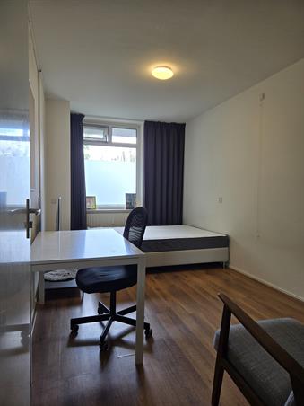 Zimmer bei Zuidvliet In Leeuwarden