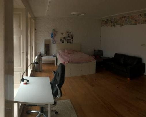 Kamer in Groningen, Hoendiepskade op Kamernet.nl: Kamer bij westerhaven