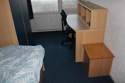 Room for rent 400 euro Ypelobrink, Enschede