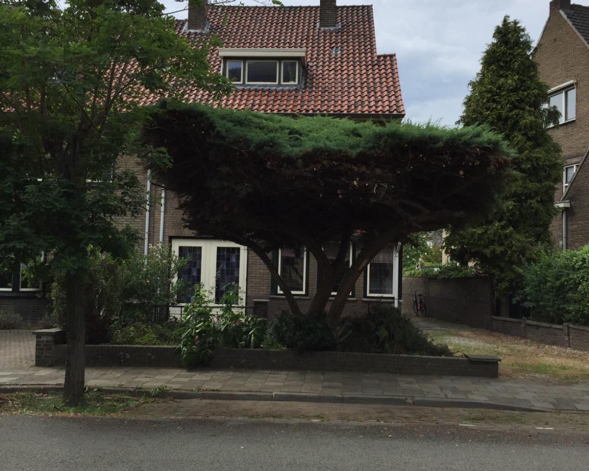 Bernhardlaan