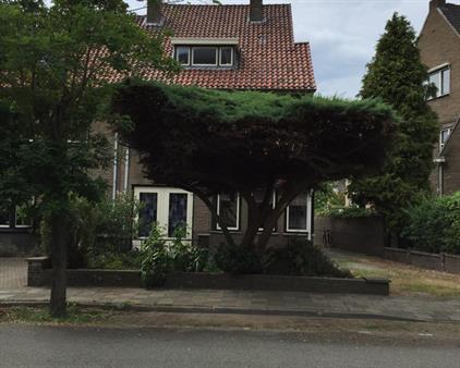 Room for rent 505 euro Bernhardlaan, Maastricht