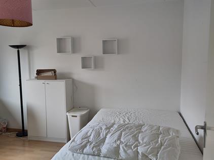 Room for rent 450 euro Lobeliastraat, Nijmegen