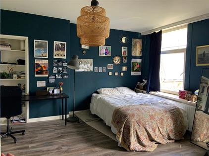 Room for rent 370 euro Hooikade, Delft