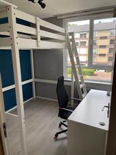 Room for rent 475 euro Dommelstraat, Enschede