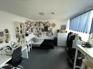 Room for rent 450 euro Briljantstraat, Groningen
