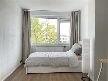 Room for rent 525 euro Bierens de Haanweg, Rotterdam