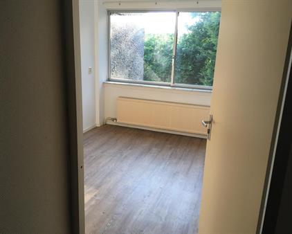 Room for rent 525 euro Henegouwen, Leusden