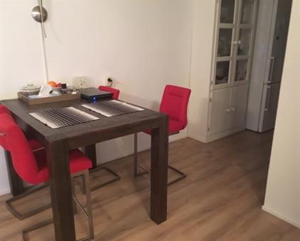 Apartment for rent 1500 euro Vesuvius, Amstelveen