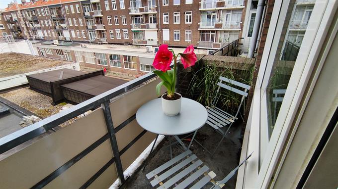 Wohnung bei Bosland In Rotterdam