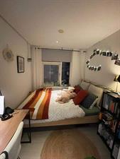 Kamer te huur 370 euro Remuslaan, Eindhoven