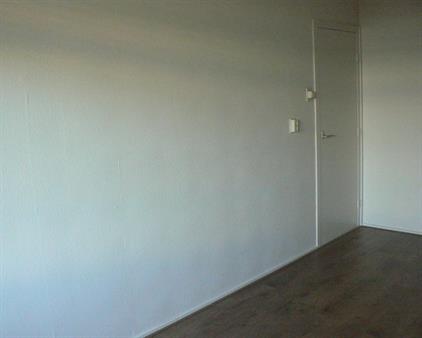 Kamer te huur 455 euro Kraaiensteinlaan, Arnhem