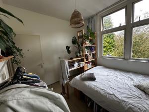 Room for rent 694 euro Wassenberghstraat, Groningen