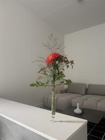 Zimmer bei Lutonhof In Amsterdam
