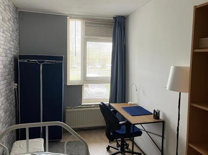 Room for rent 975 euro Wethouder Insingerstraat, Amsterdam