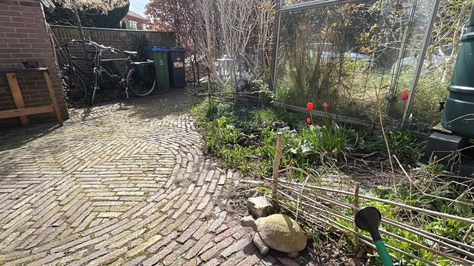 Zimmer bei Veluviaweg In Wageningen