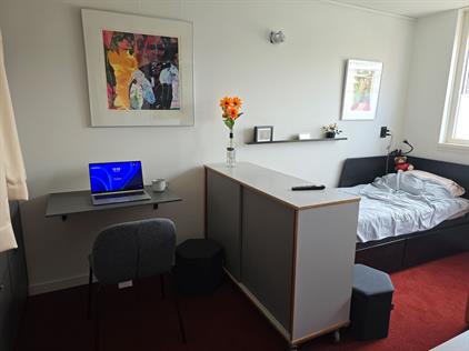 Room for rent 875 euro Kerveltuin, Leiderdorp