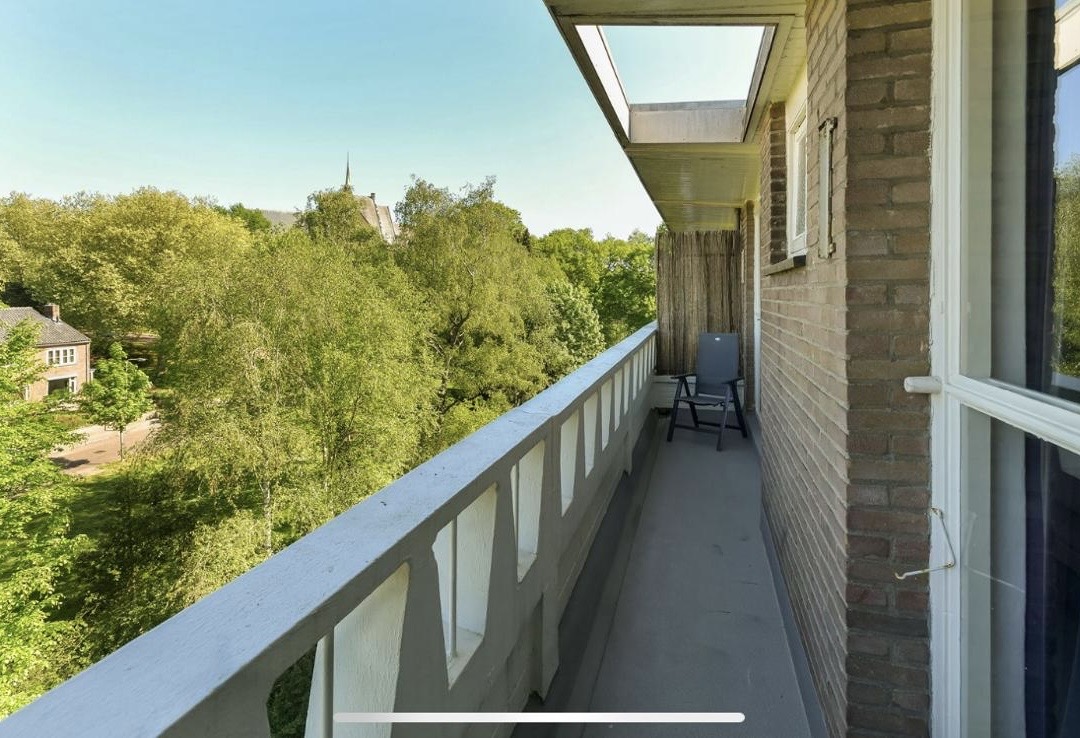 Lippe Biesterfeldstraat