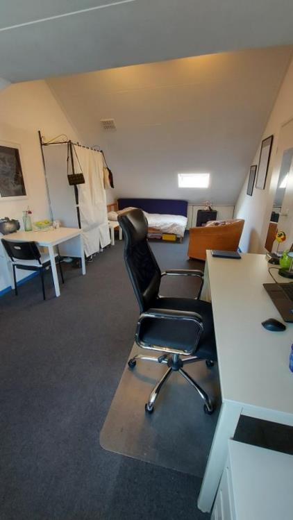 Room for rent 490 euro Eisenhowerlaan, Delft