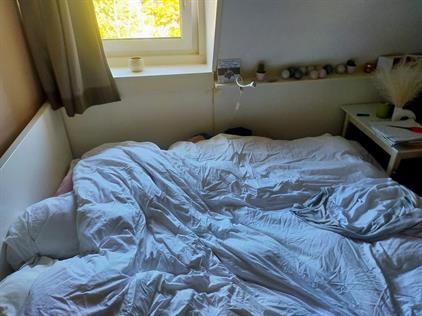 Zimmer zu vermieten 750 Euro Tooropstraat, Nijmegen