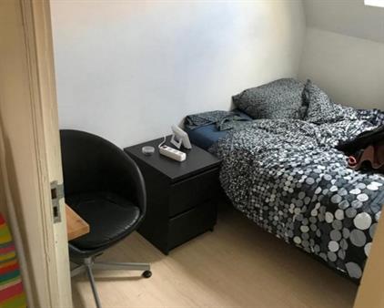 Room for rent 364 euro Ruivenstraat, Delft