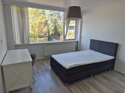 Kamer te huur 850 euro Reimersbeek, Amsterdam
