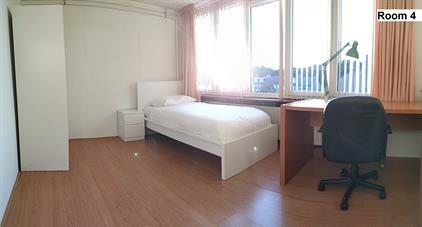 Room for rent 999 euro Paardebloem, Rotterdam