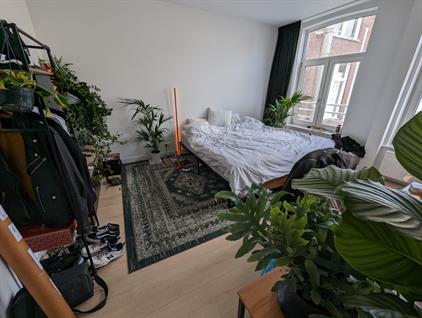 Room for rent 1700 euro Pieter Cornelisz. Hooftstraat, Amsterdam