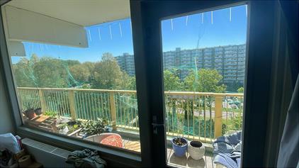 Room for rent 678 euro Hofgeest, Amsterdam