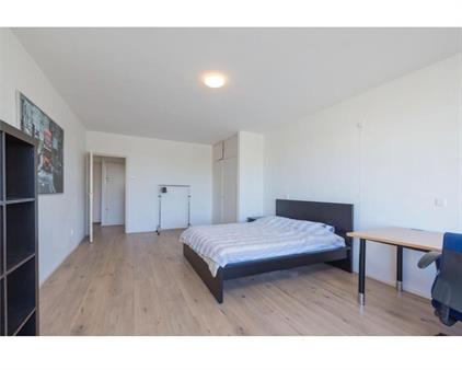 Kamer te huur 725 euro Plantijnstraat, Leiden