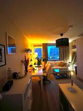 Room for rent 350 euro E. du Perronlaan, Delft