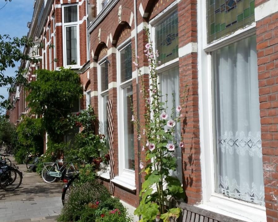 Kamer te huur in de Newtonstraat in Den Haag
