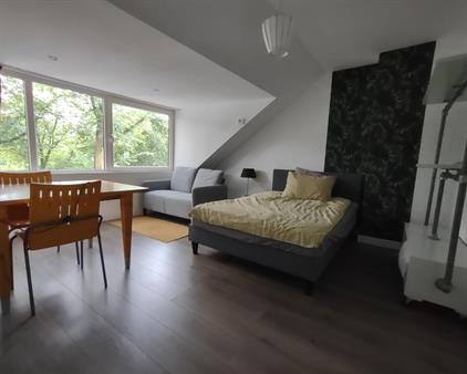 Room for rent 1200 euro Adelaarsweg, Amsterdam