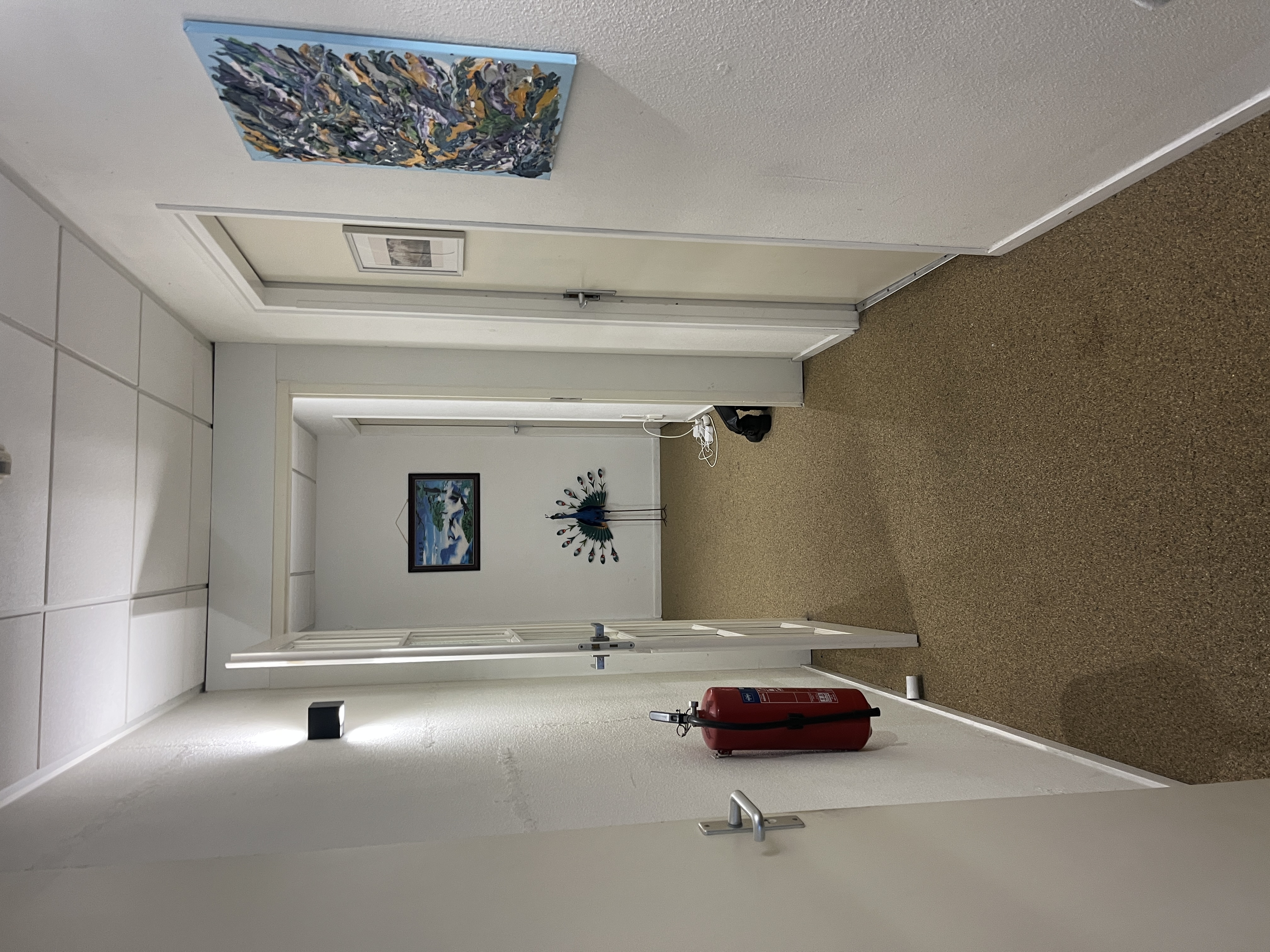 Kamer aan Zilverweg, Heerenveen 5