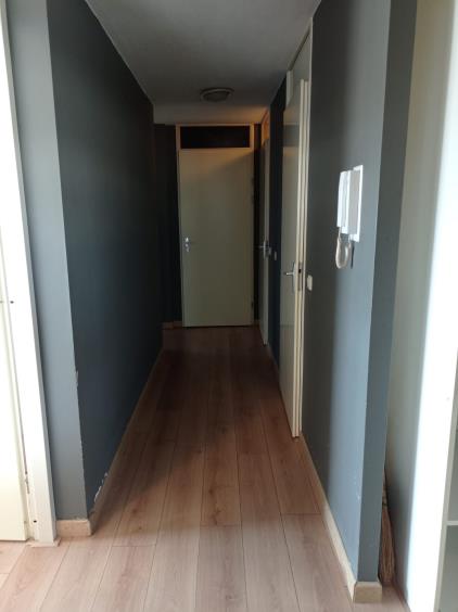 Room for rent 850 euro Ladogameerhof, Amsterdam