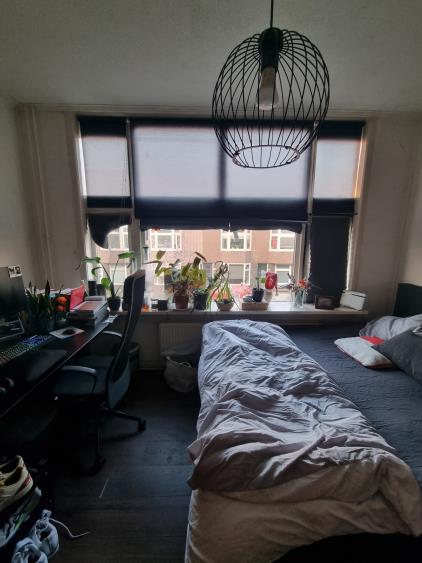 Room for rent 542 euro Oppenheimstraat, Groningen