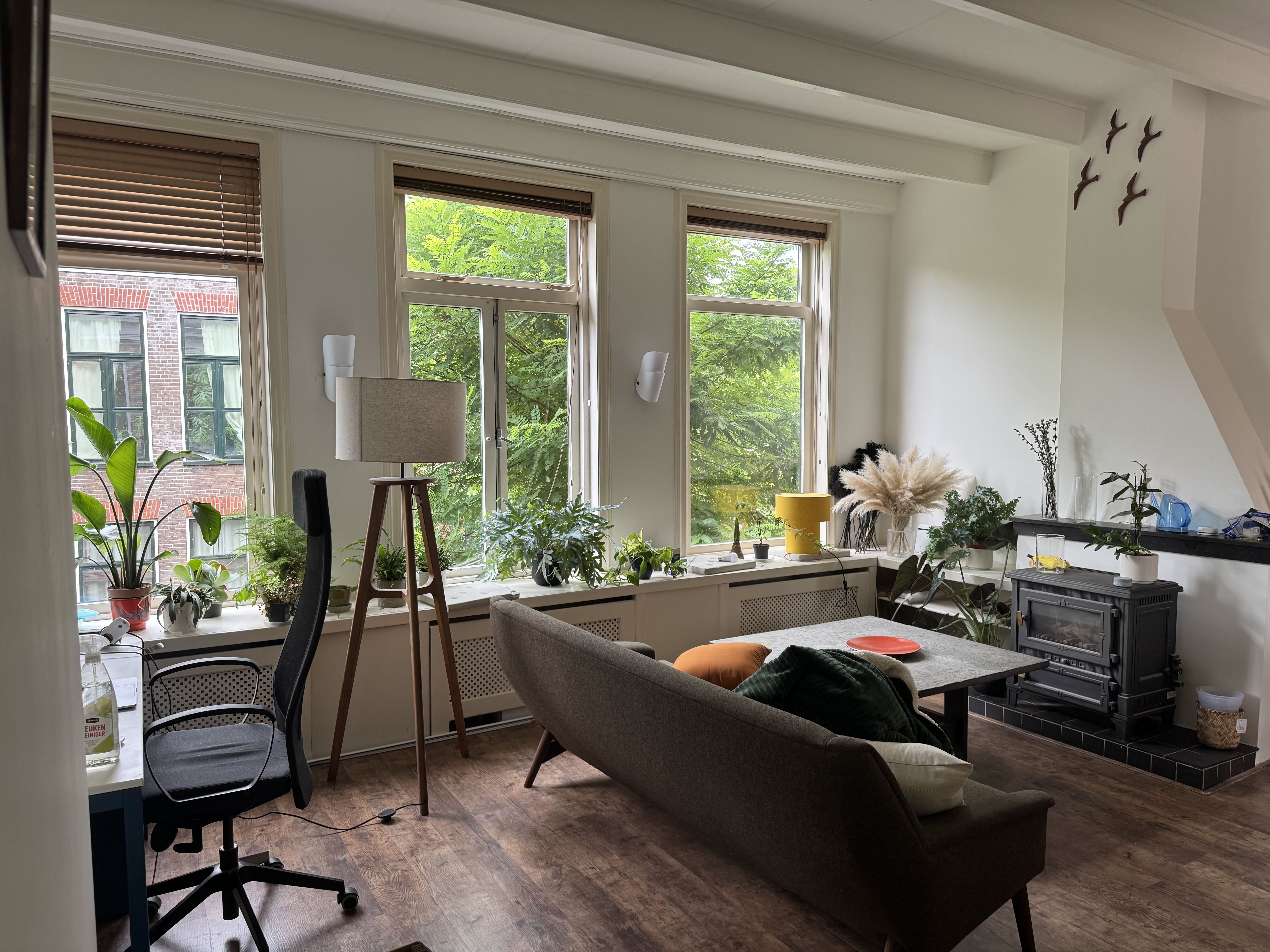 Tweede Hunzestraat