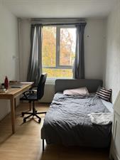 Room for rent 555 euro Dommelstraat, Enschede