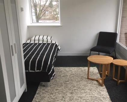 Kamer te huur 480 euro Treubstraat, Tilburg