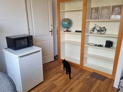 Kamer te huur 550 euro Vondelweg, Haarlem