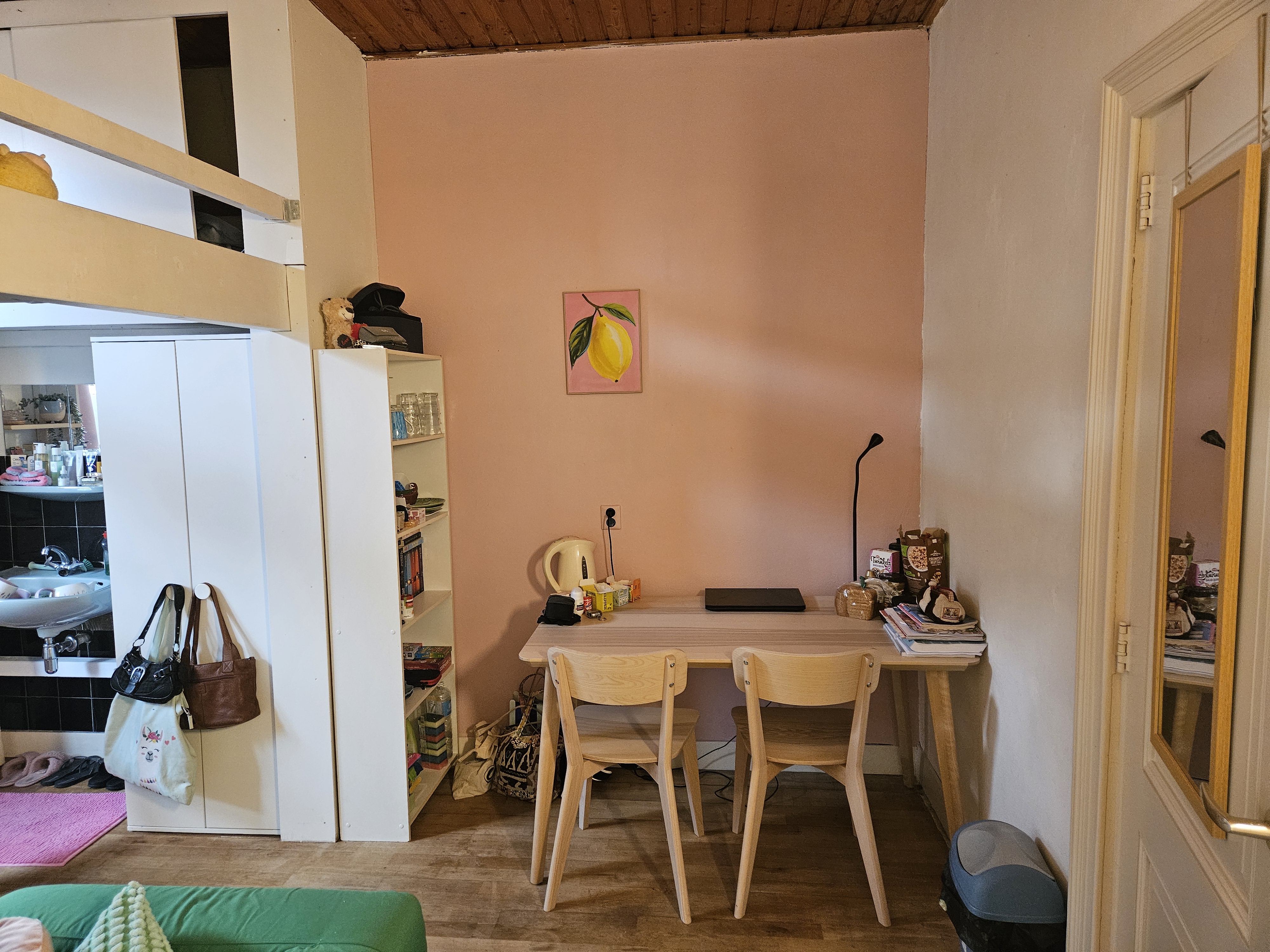 Kamer te huur in Breda – Haagweg – foto 2