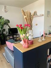 Appartement te huur 1500 euro Hoornweg, Rotterdam
