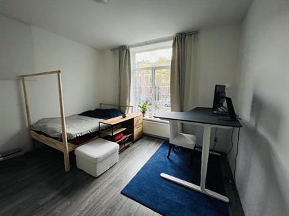 Room for rent 800 euro Schermlaan, Rotterdam