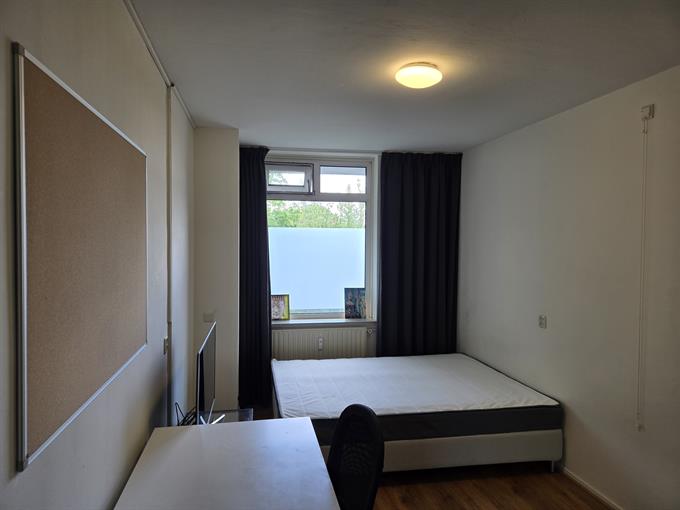Zimmer bei Zuidvliet In Leeuwarden