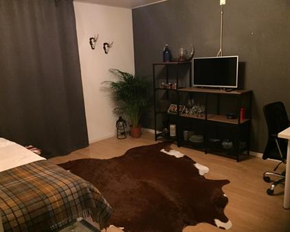 Kamer te huur 485 euro Tijgerhof, Breda