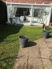 Kamer te huur 495 euro Emmalaan, Haren Gn