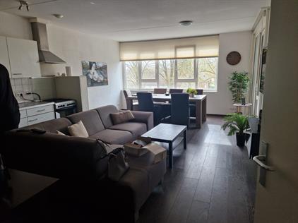 Apartment for rent 650 euro Jan van Oosterhouthof, Nuenen