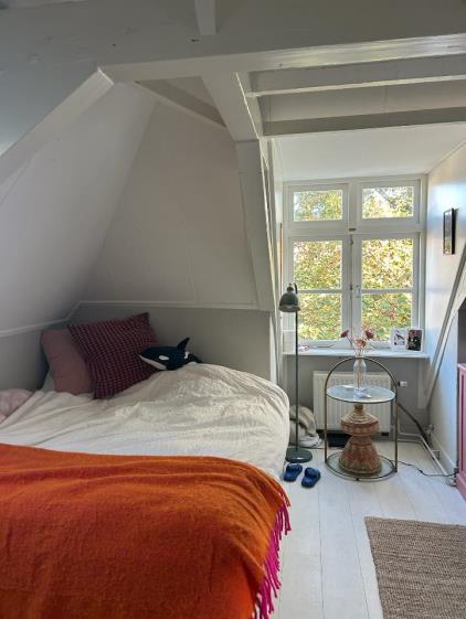 Kamer te huur 800 euro Oude Delft, Delft