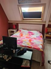 Room for rent 900 euro Prof. Lorentzlaan, Amstelveen