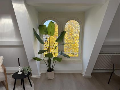 Burgemeester Reigerstraat Utrecht